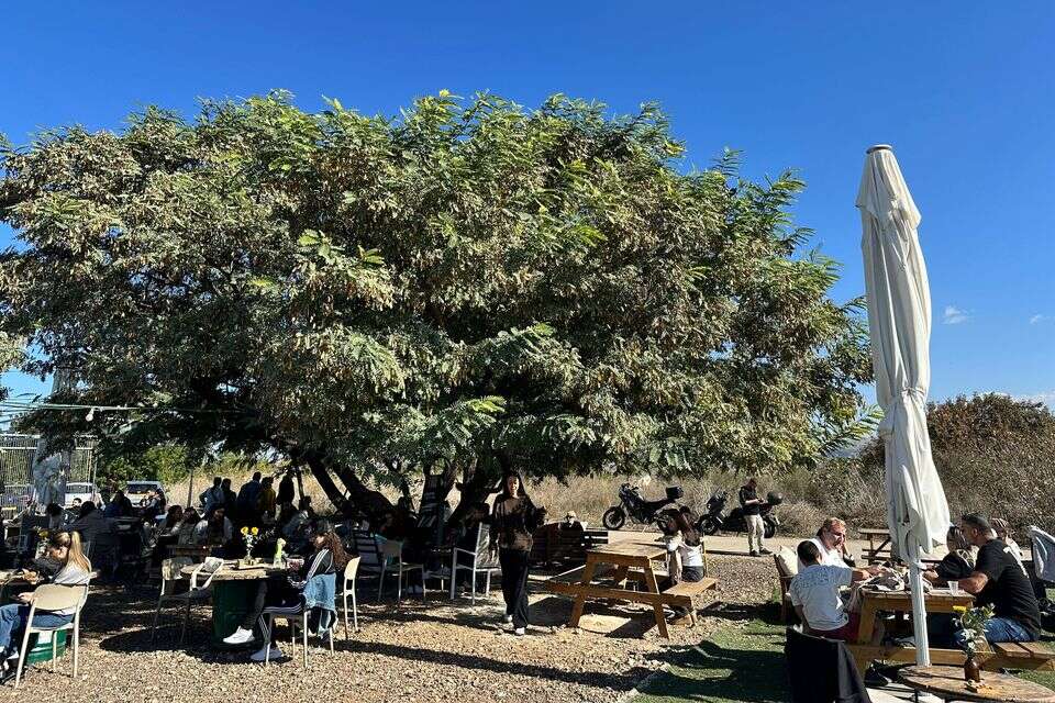 אודי ויפ , עדי נירמן