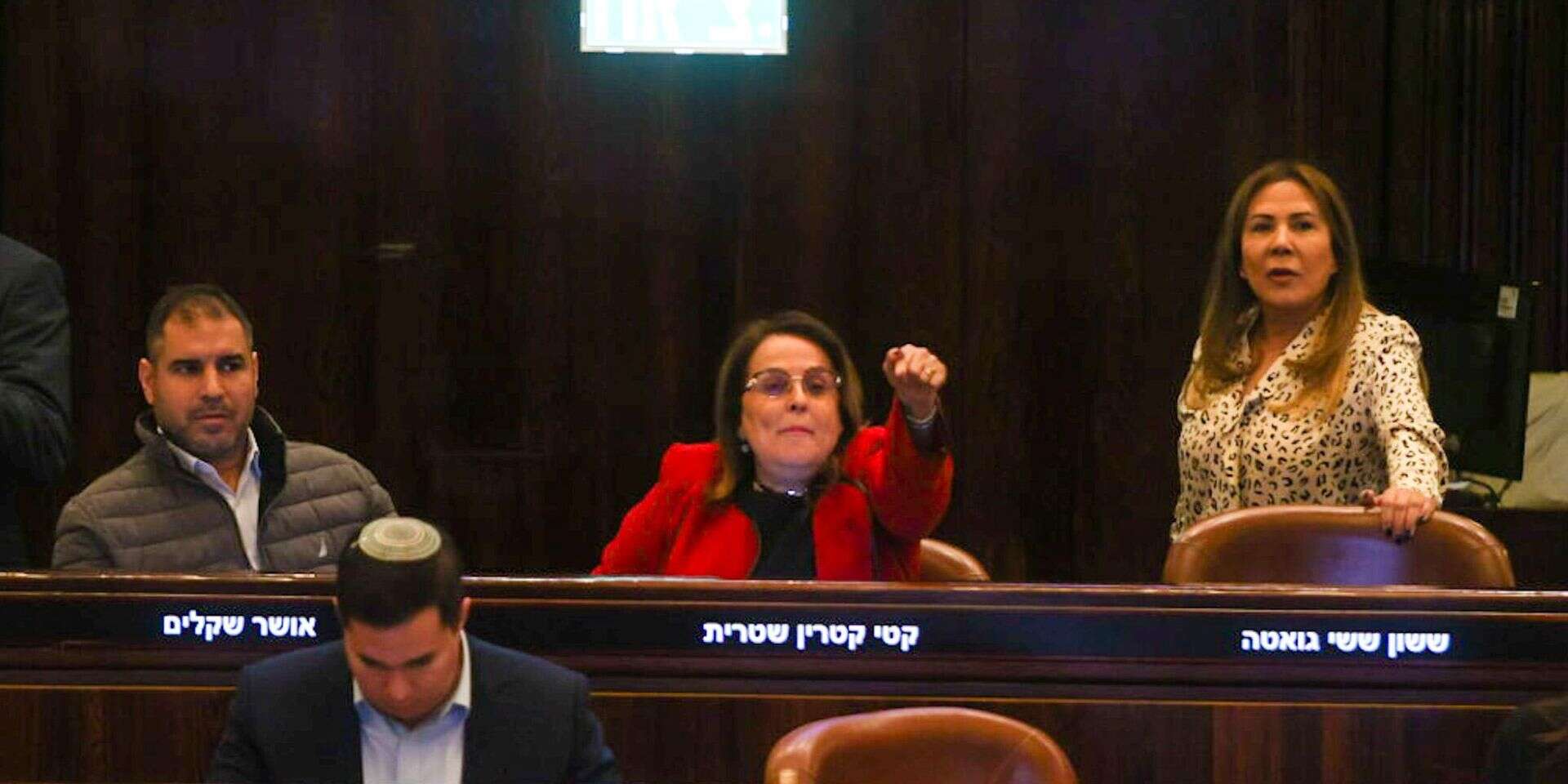 ההצבעה על חוק הקמת ועדת חקירה ממלכתית , אורן בן חקון