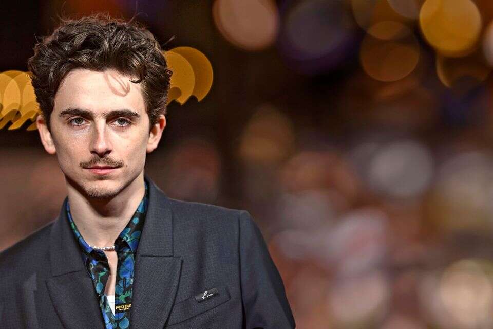 הילד בן 30: כל מה שלא ידעתם על טימותי שאלאמה