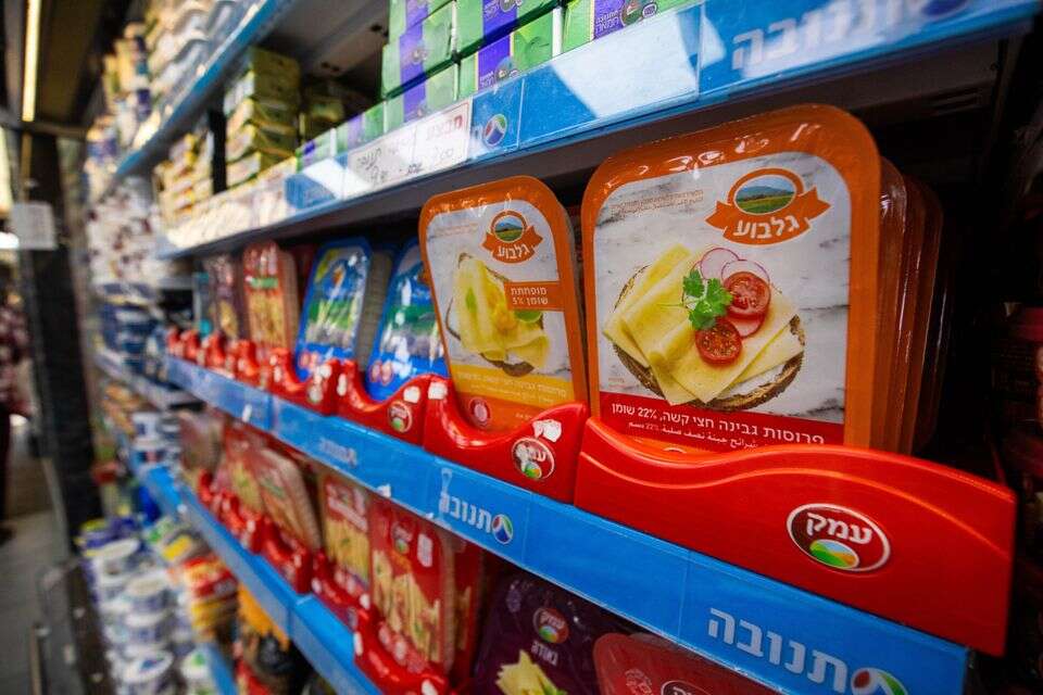 מקרר גבינות (להמחשה) , אורן בן חקון