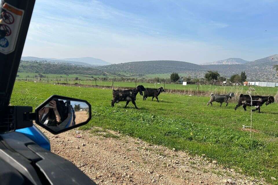 שטח גלילי , רוני שקדי