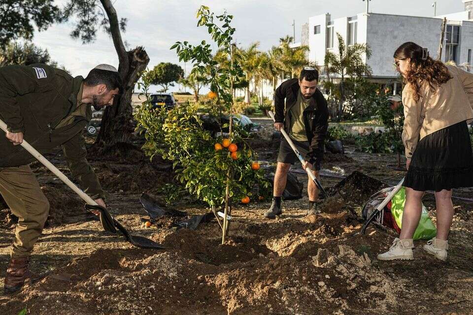 100 עצים ניטעו בחורשת הנופלים באשקלון לזכר חללי העיר , צפריר סטילס