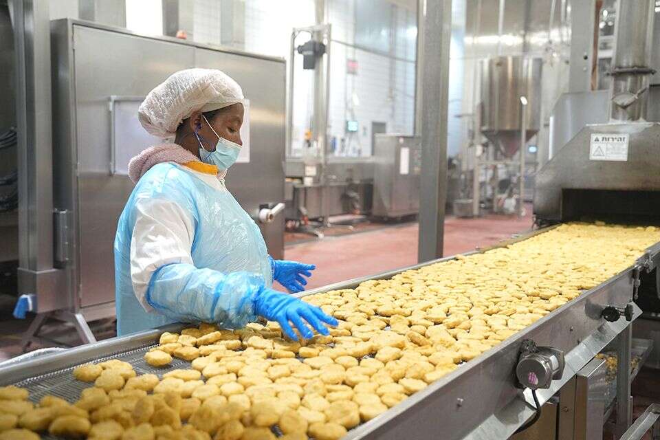 עובדת במפעל בצפון , אייל-מרגולין-גיני