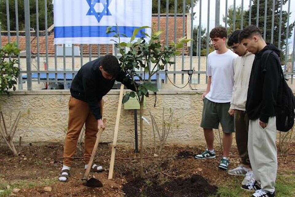 תלמידי בית ספר נוטעים עצים בט"ו בשבט , שגיא בן יהודה