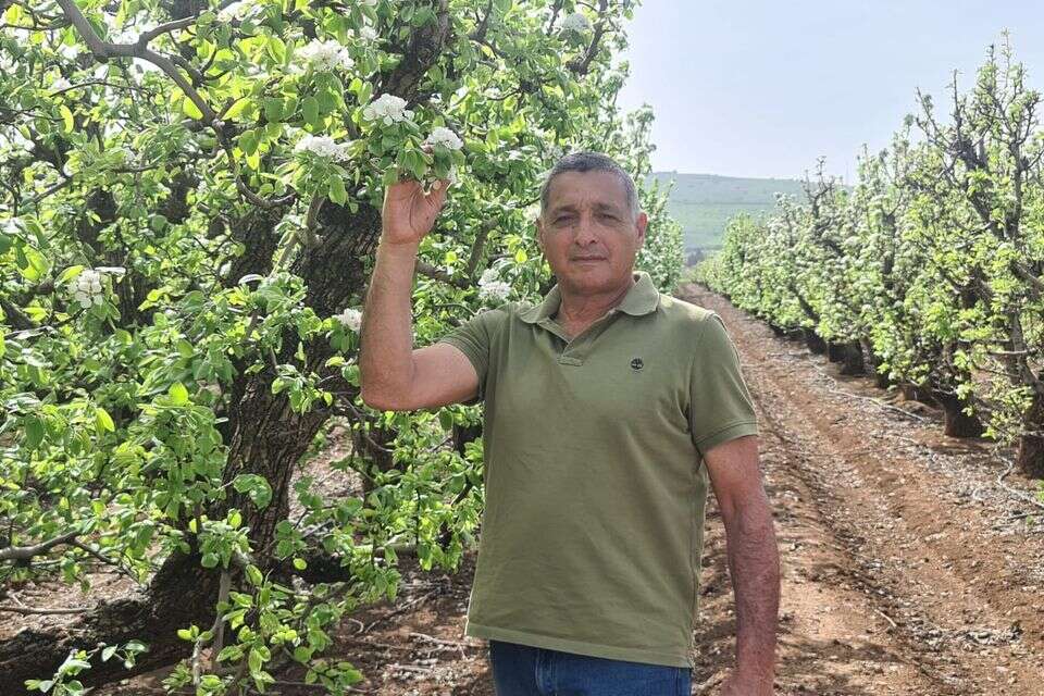 ירון בלחסן, מנכ"ל ארגון מגדלי הפירות[ , ארגון מגדלי הפירות בישראל