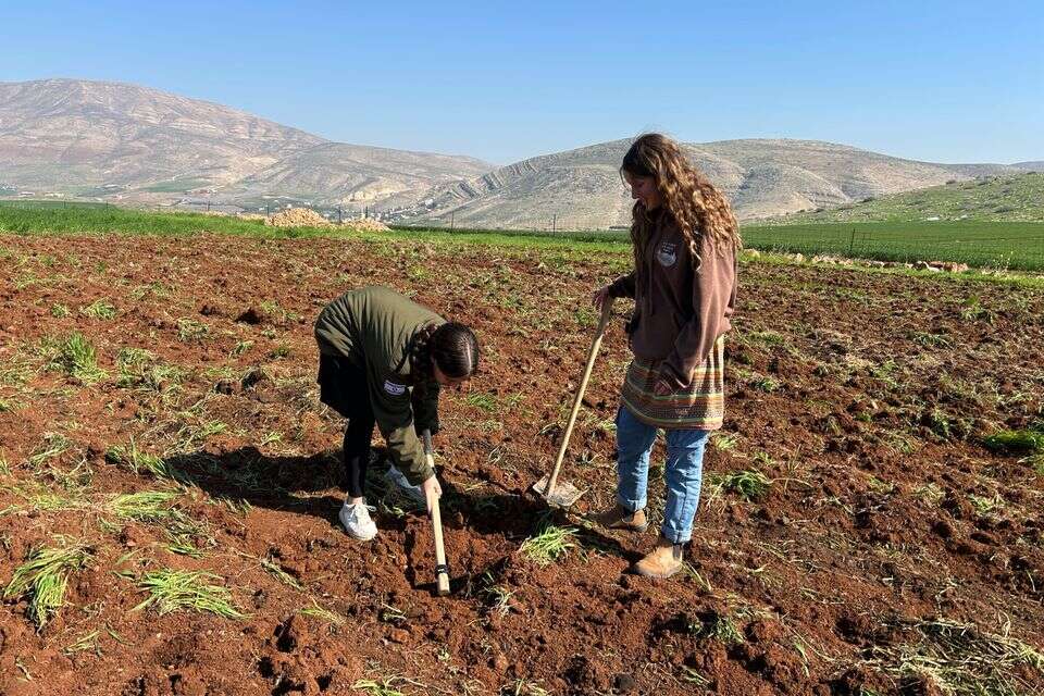 נוטעים את מטע עצי הפרי לזכר סרן הראל שרביט ז"ל , חיבורים בחקלאות