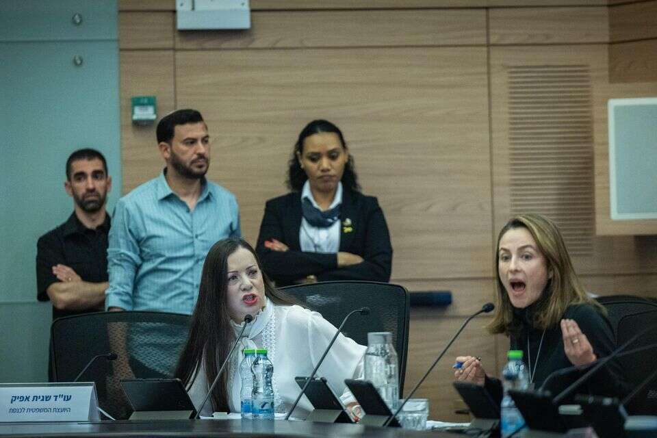 עימות בין הח"כיות בדיון על חוק החסינות , יונתן זינדל/פלאש90