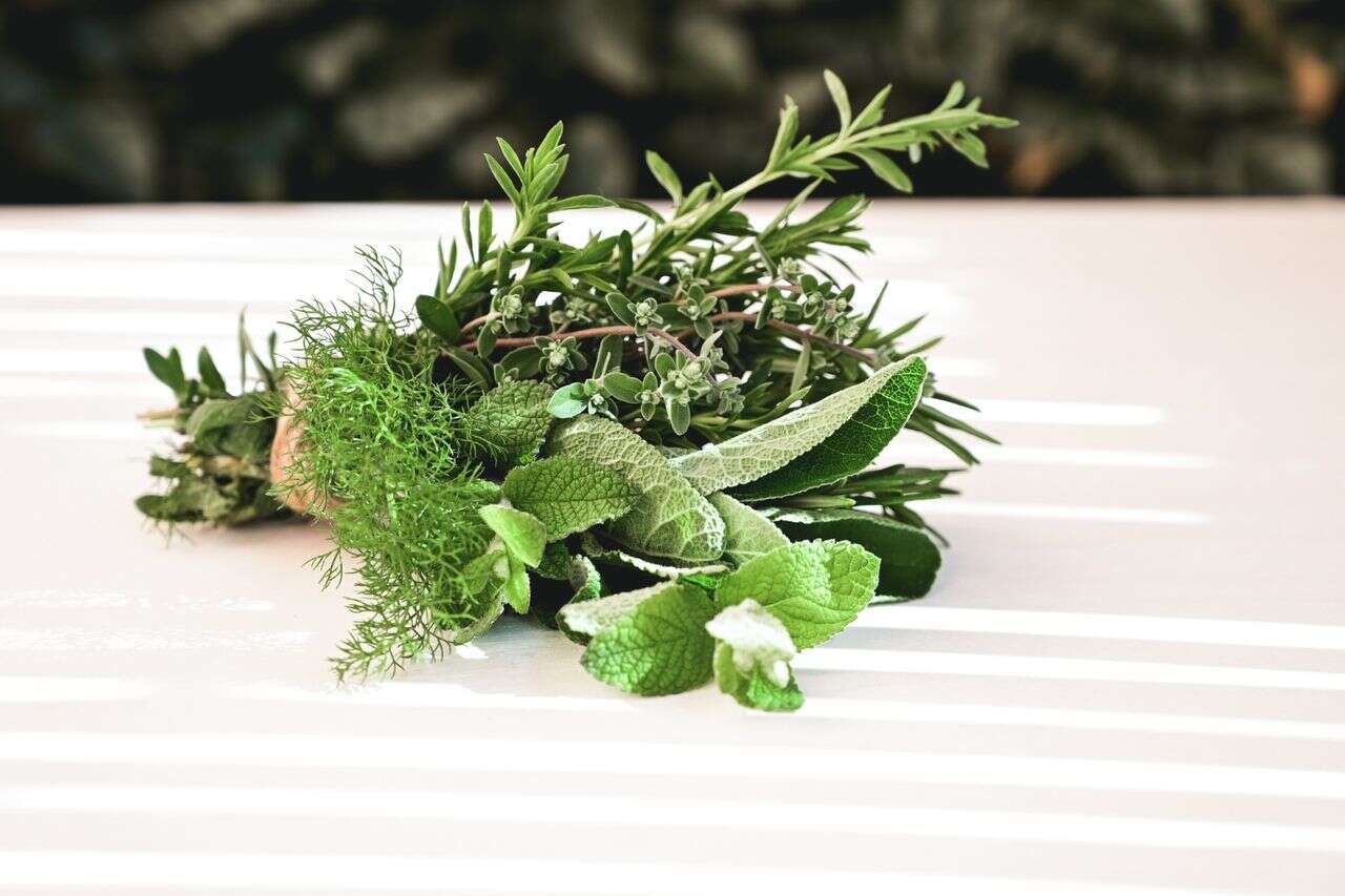 Withered in the fridge? The trick that will bring life back to the herbs - in minutes
