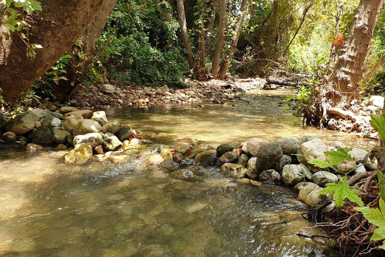 ברחבי הארץ ובחינם: אירוע הנחלים שאתם חייבים להכיר | ישראל היום