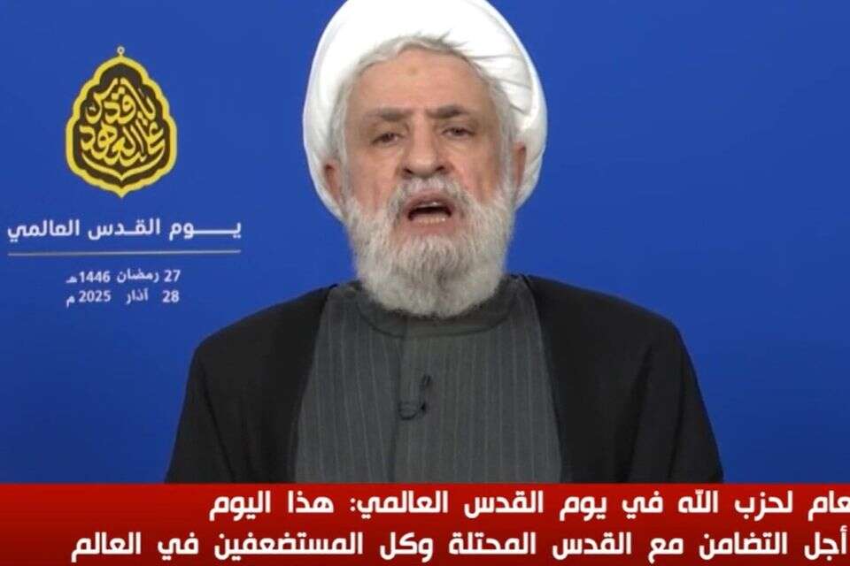 מזכ"ל חיזבאללה, נעים קאסם , רשתות ערביות