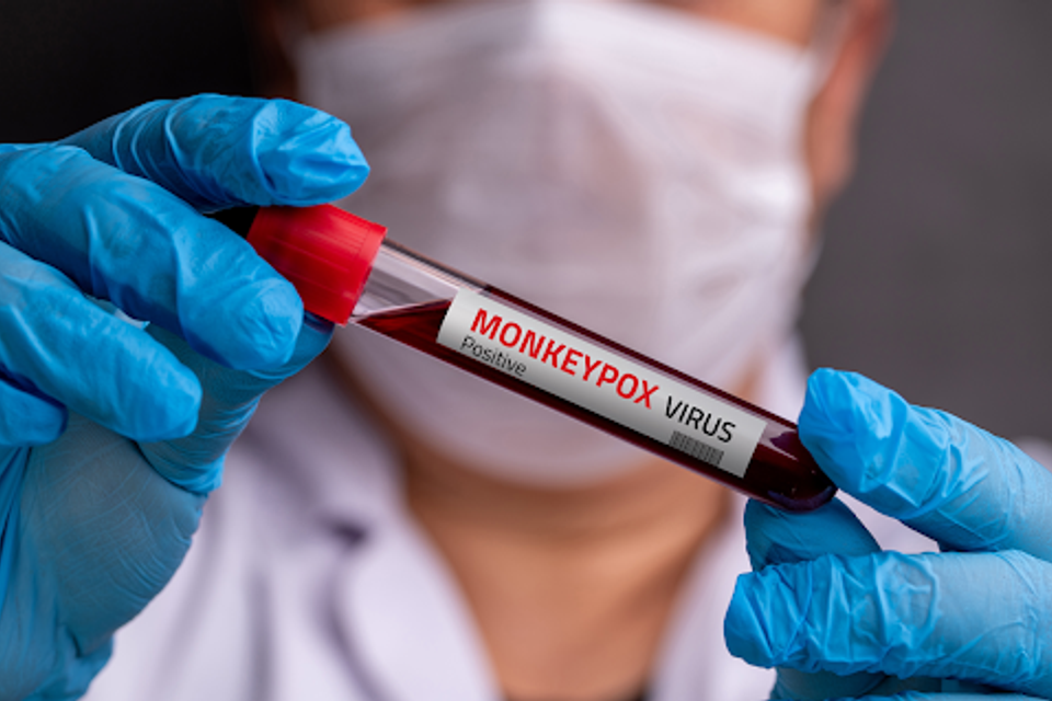 Expert warns: "Evolution is a game - and the viruses win"