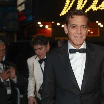 קלוני מתחרט: הנסיך האפור שנצבע בחום