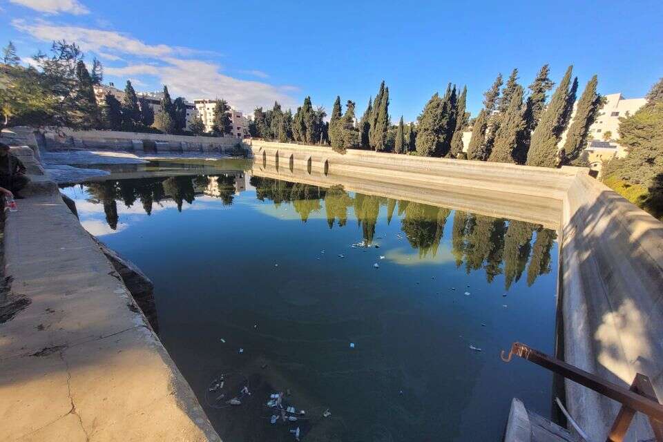 בריכות שלמה , בית הספר שדה כפר עציון