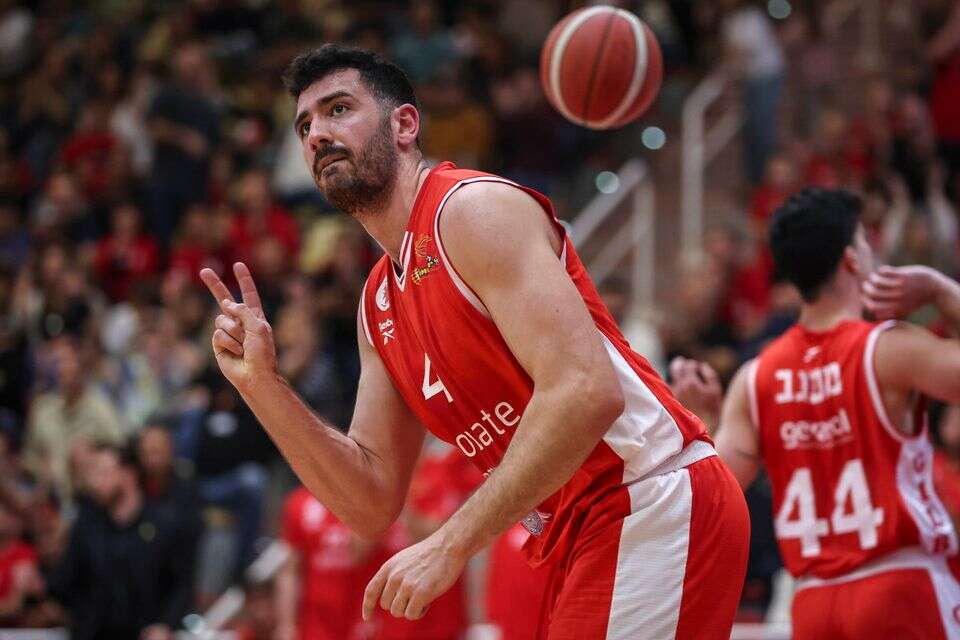 גור לביא  , מאור אלקסלסי