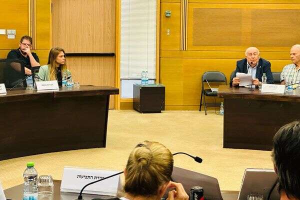 ליאל ואורן בכנסת , ללא