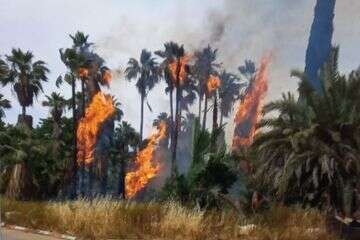 שריפה בספארי ברמת גן  , .