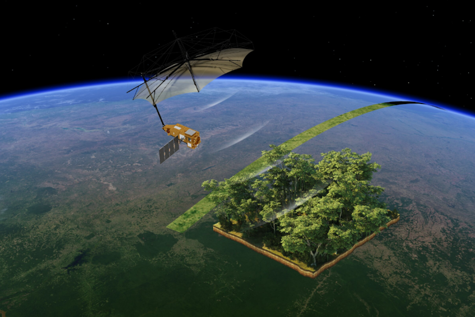 עצים מהחלל (אילוסטרציה) ,  ESA/ATG medialab CC-BY-SA 3.0 IGO

