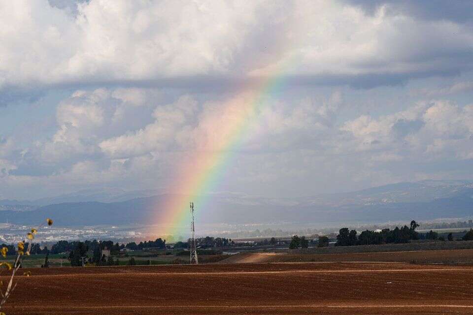 קשת בענן בעמק החולה , אייל מרגולין - ג׳יני