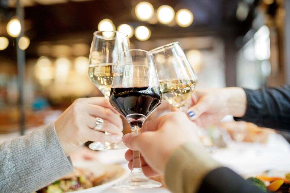 ממסכי מלחמה: הבלנדים המפתיעים שיככבו בליל הסדר