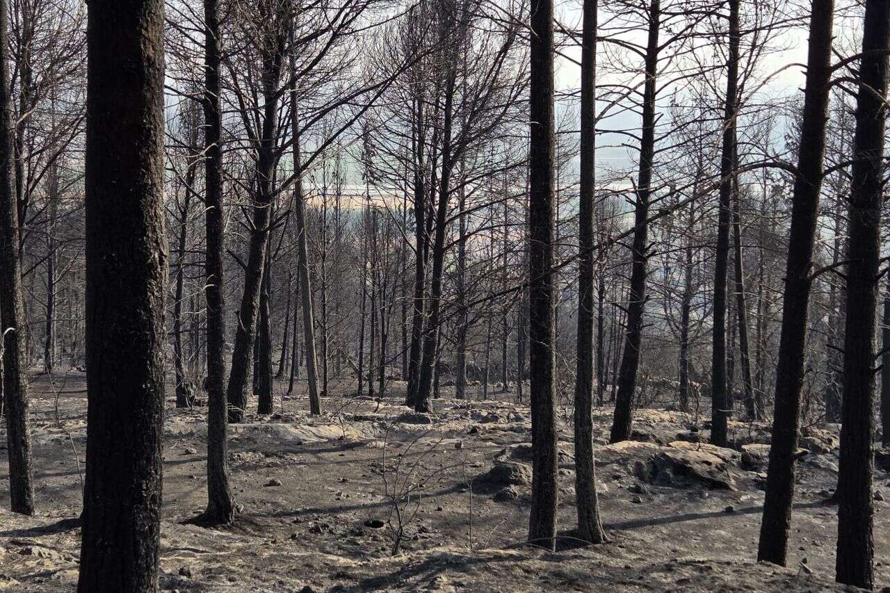 From the spark stage: Has a new technology been found to detect huge fires?