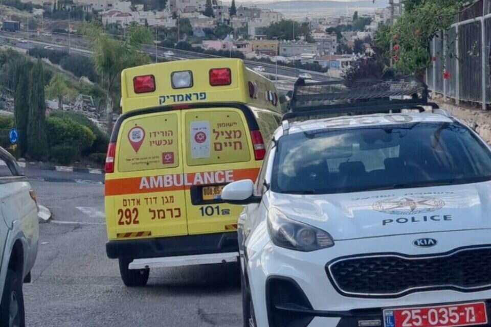זירת רצח בשפרעם , דוברות מד"א