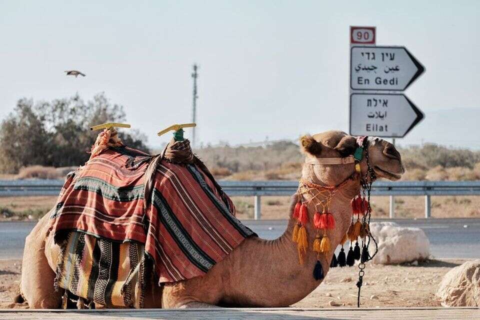 אילת , pexels