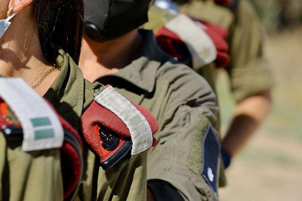 דעה | במשולש הסדיר-קבע-מילואים, זו