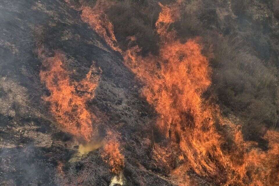 שריפה ביער חרובית , דוברות כב"ה
