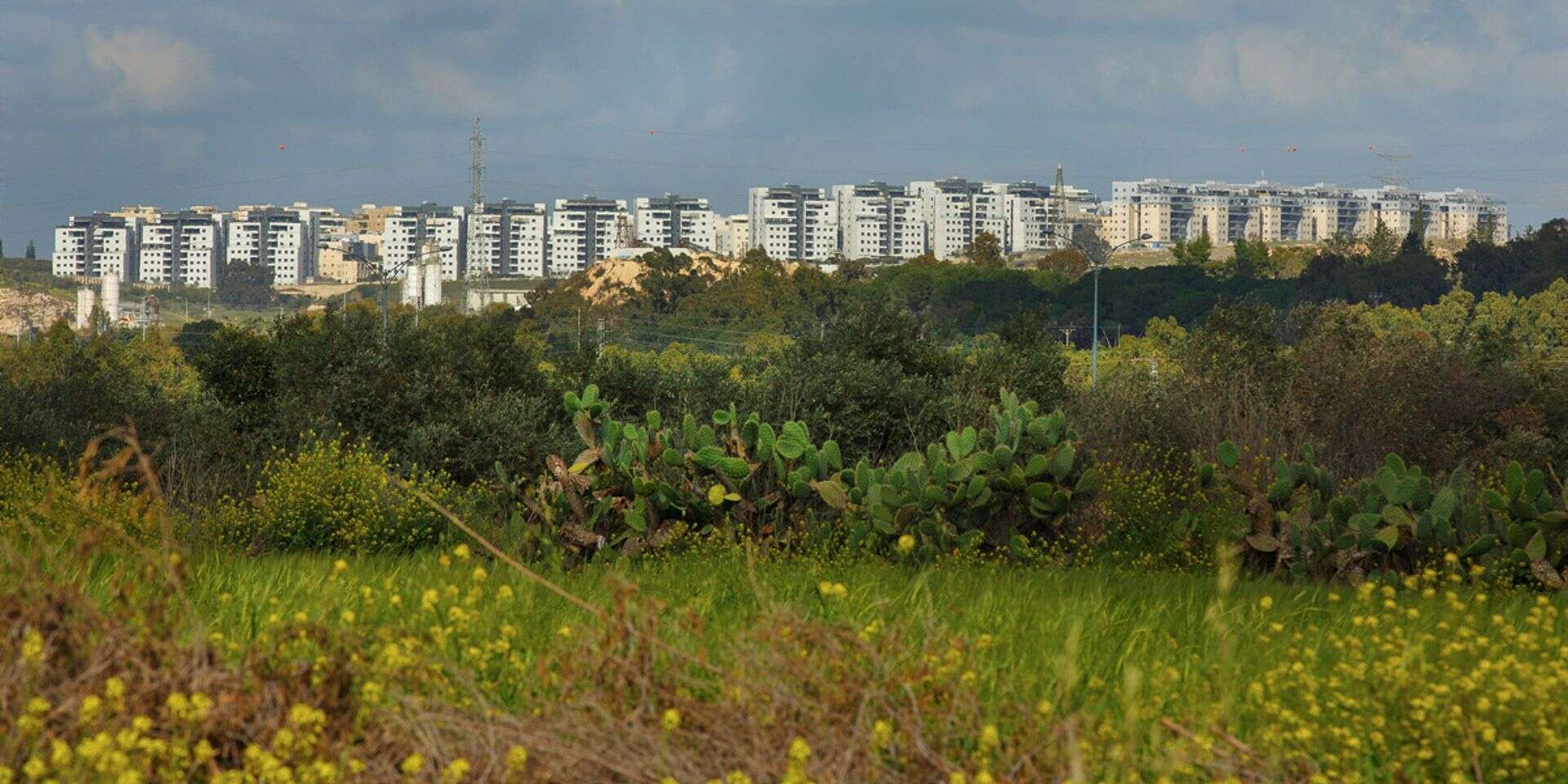 ראש העין , משה שי