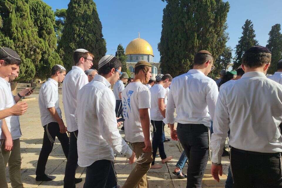 2025. מאות עלו להר הבית, שנפתח לכניסת יהודים לרגל יום ירושלים , מנהלת הר הבית