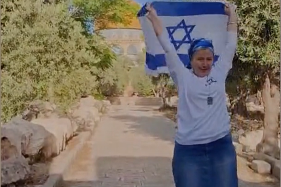 מרינה סוקול מניפה את דגל ישראל בהר הבית , שימוש לפי סעיף 27א לחוק זכויות יוצרים
