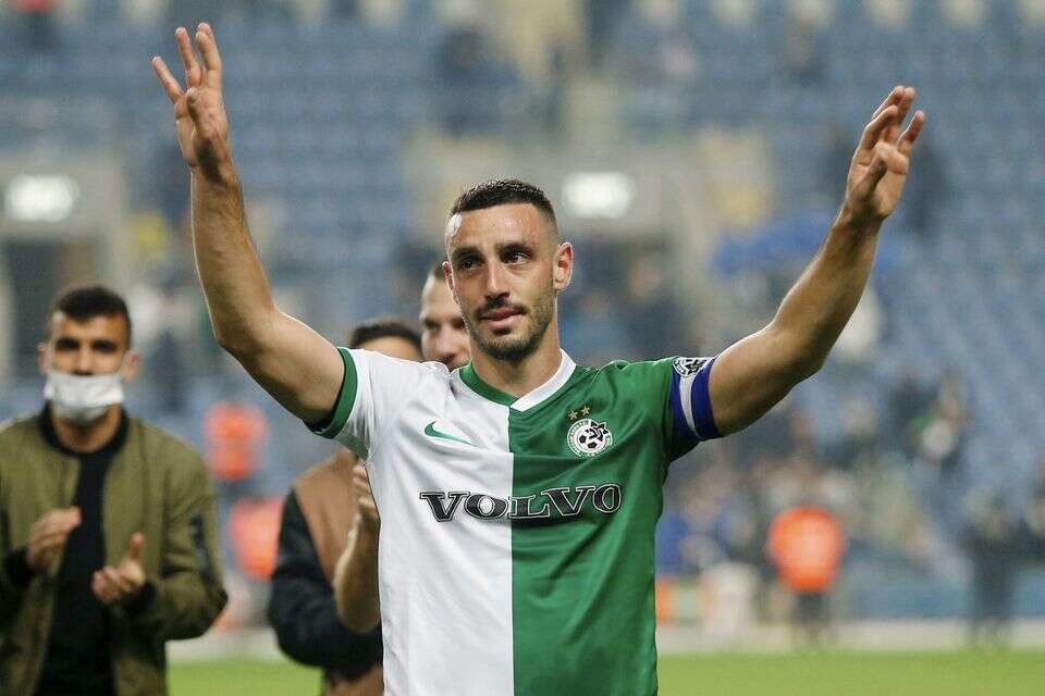 נטע לביא , אלן שיבר