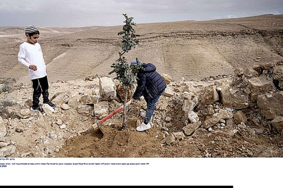 נוטעים שורשים. מצפה יונתן של השומר החדש , ללא