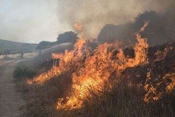 שריפה סמוך למודיעין , דוברת כב״ה מרכז
