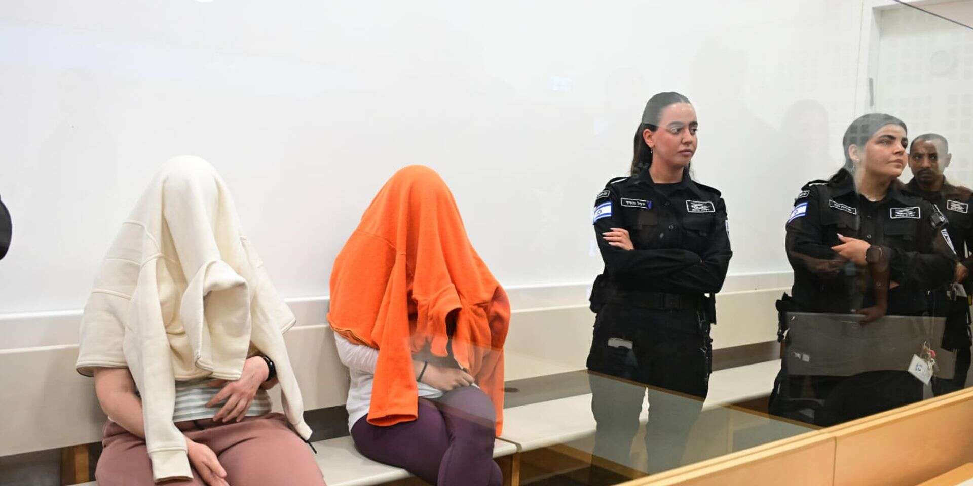דוידוביץ' ולייבוביץ' על ספסל הנאשמים , יוסי זליגר