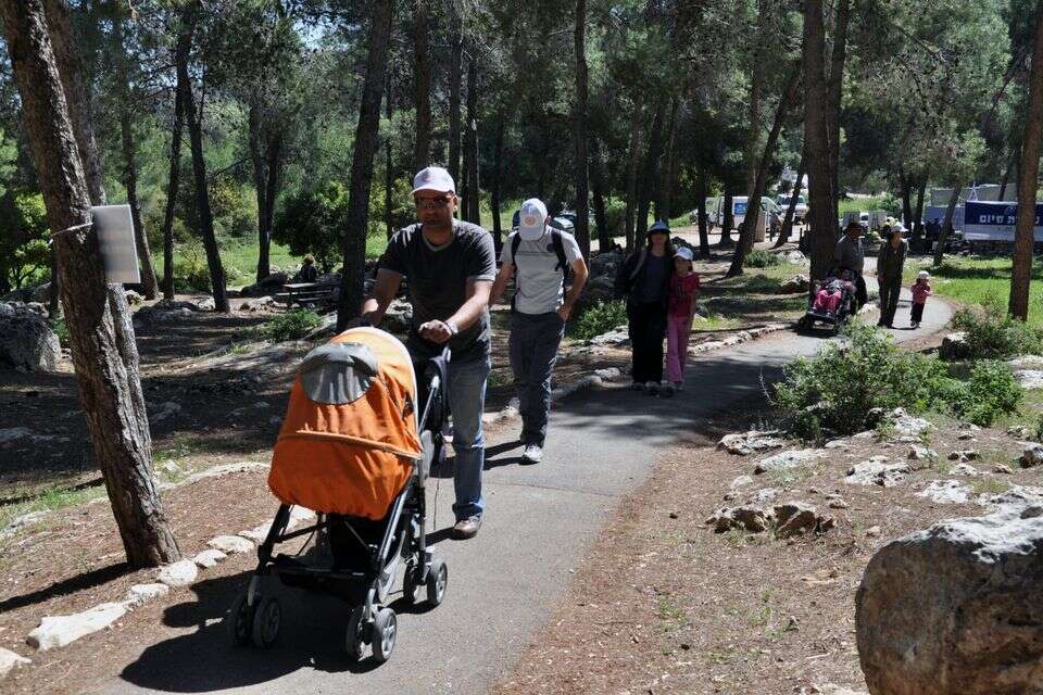 יער עמינדב , יואב ארי