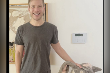 יאיר נתניהו: "אני והבאגס באני המפורסם"  , צילום מסך 