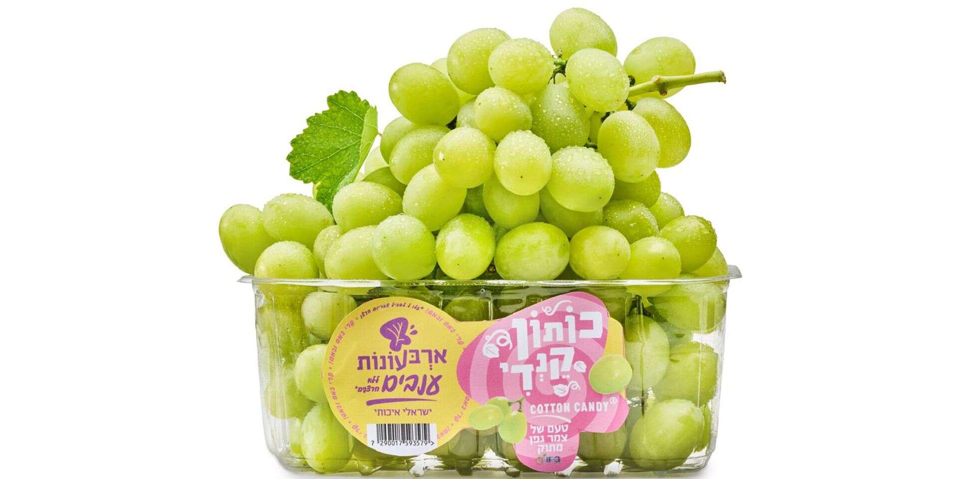 ענבים בטעם צמר גפן מתוק , נועם פריסמן
