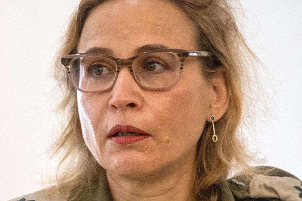 The ombudsman's investigation: the High Court was informed that the opinion was not brought before the ombudsman in advance