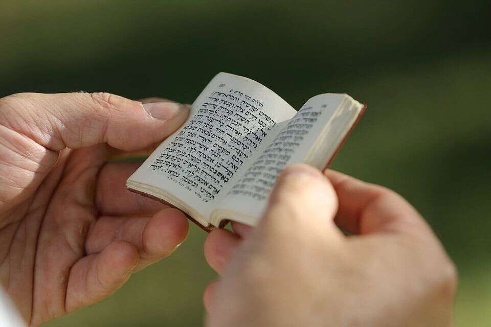 ספר תהילים , אורן כהן