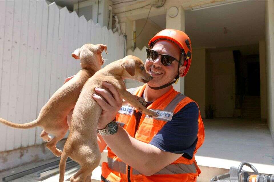 גורי כלבים שאותרו בזירת ההרס בבת ים , ואדים אקשן
