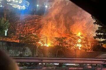 השריפה במגדל מילאד , רשתות ערביות