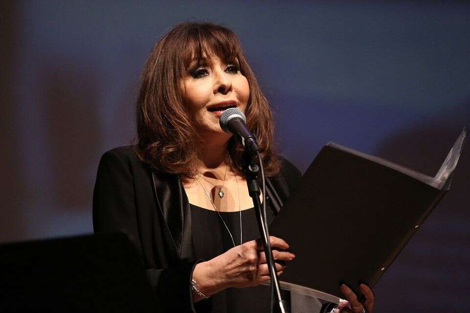 "שילמתי על זה מחיר". ירדנה ארזי , יח"צ