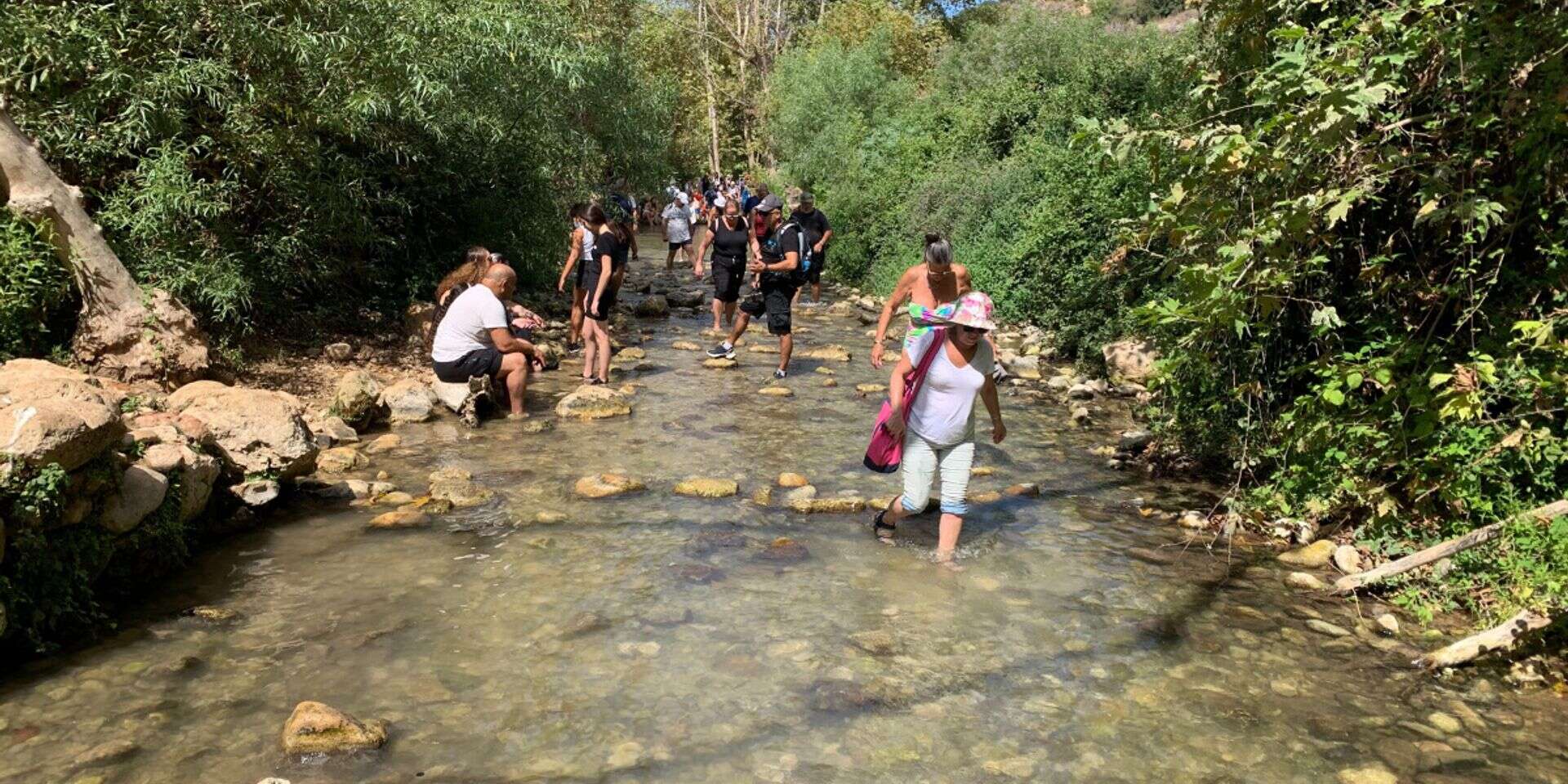 עין חרדלית , גרי אברמוביץ