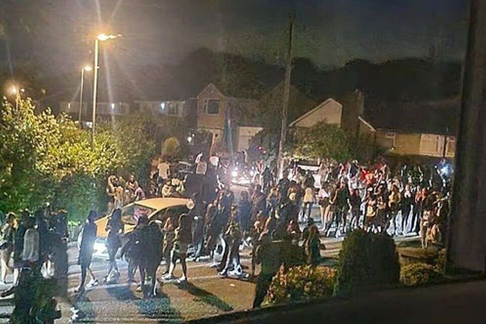 המסיבה המצומצמת הפכה למסיבת ענק, ארכיון , SWNS