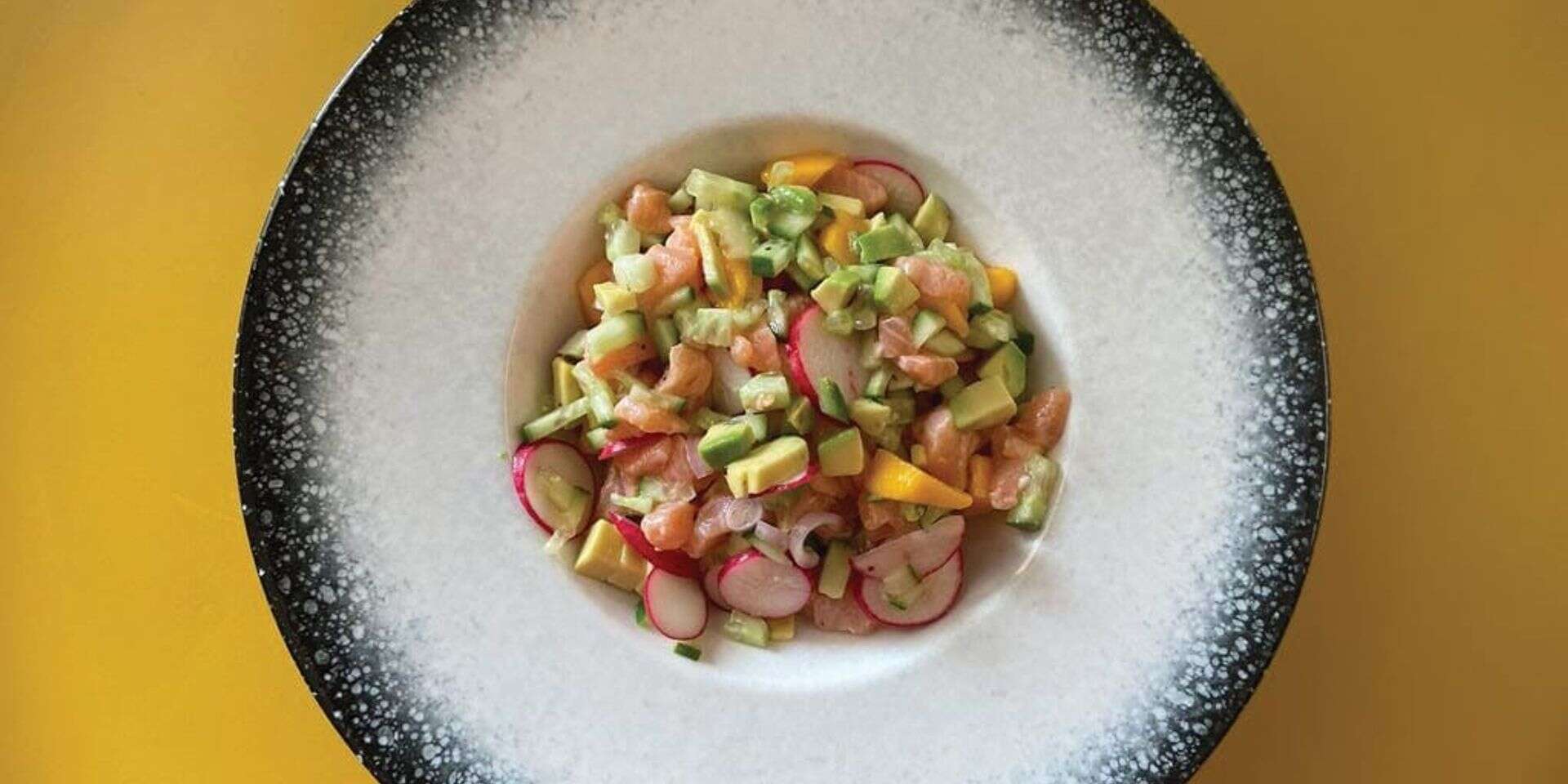 סביצ'ה סלמון , סיון אופירי