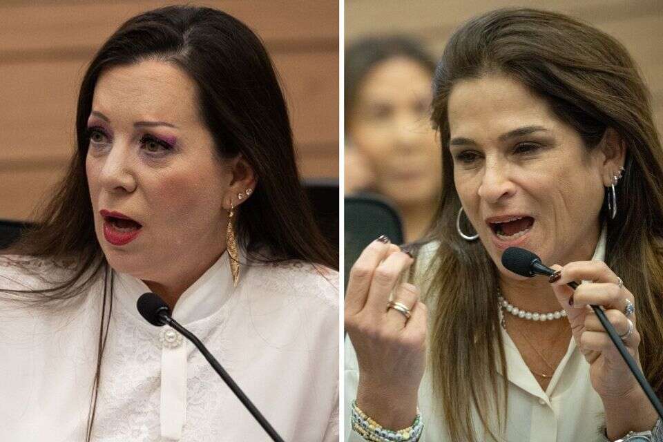ח"כ מירב בן ארי וח"כ טלי גוטליב בדיון סוער בוועדה לביקורת המדינה , חיים גולדברג/פלאש90 ואורן בן חקון