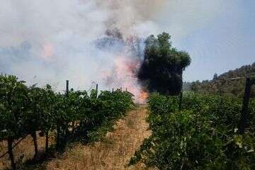 השריפה בנס הרים , דוברת כב"ה, מחוז ירושלים.