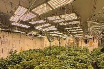 מעבדת קנאביס בחיפה , דוברות המשטרה.