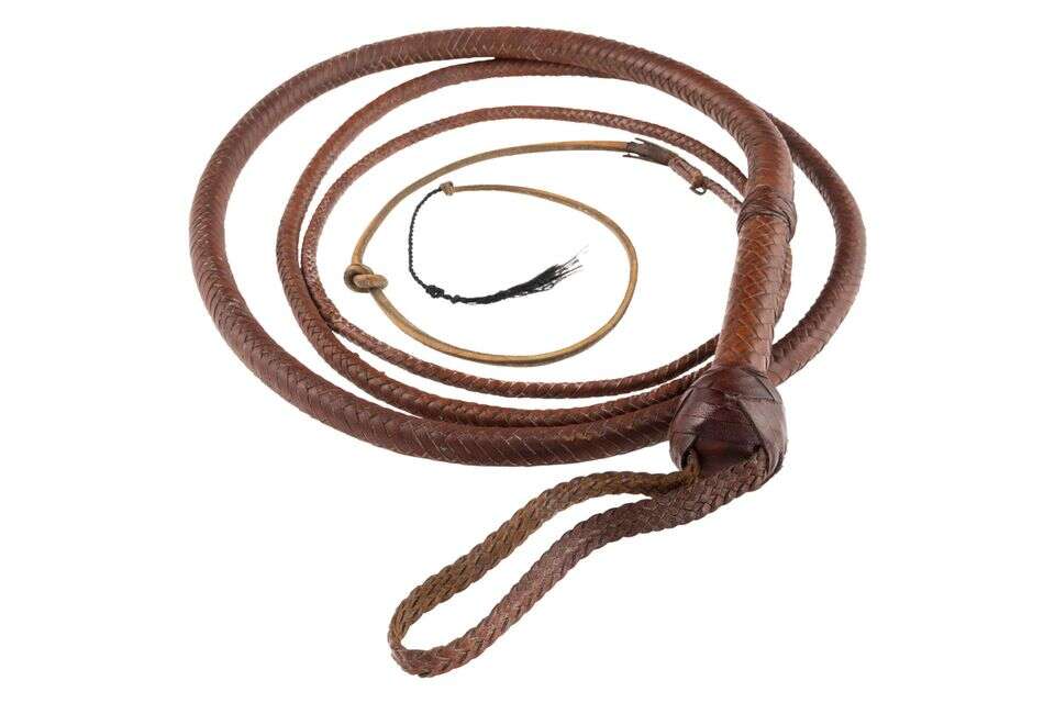 השוט של אינדיאנה ג'ונס , אי.פי